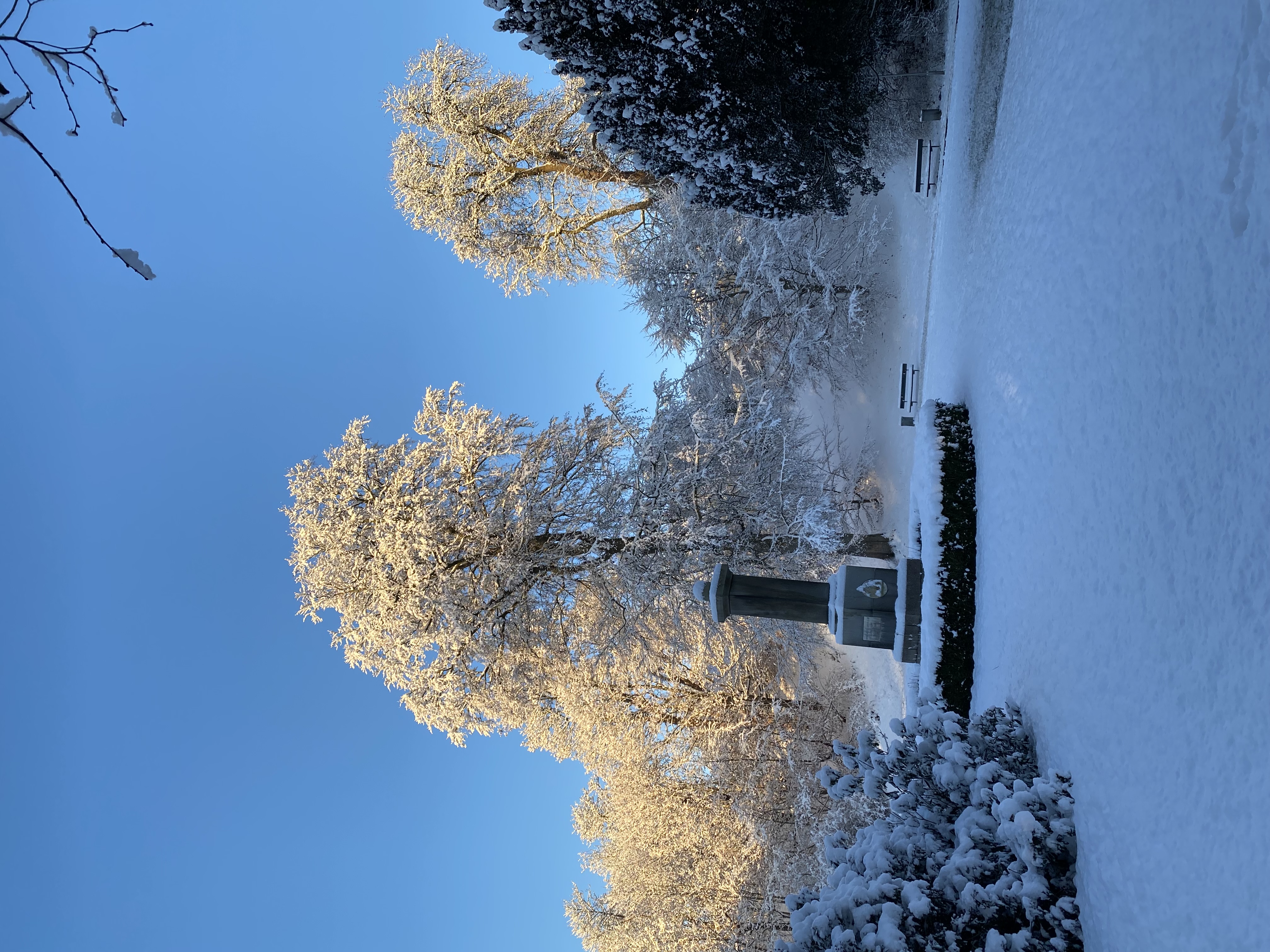 Vinter Sne 3