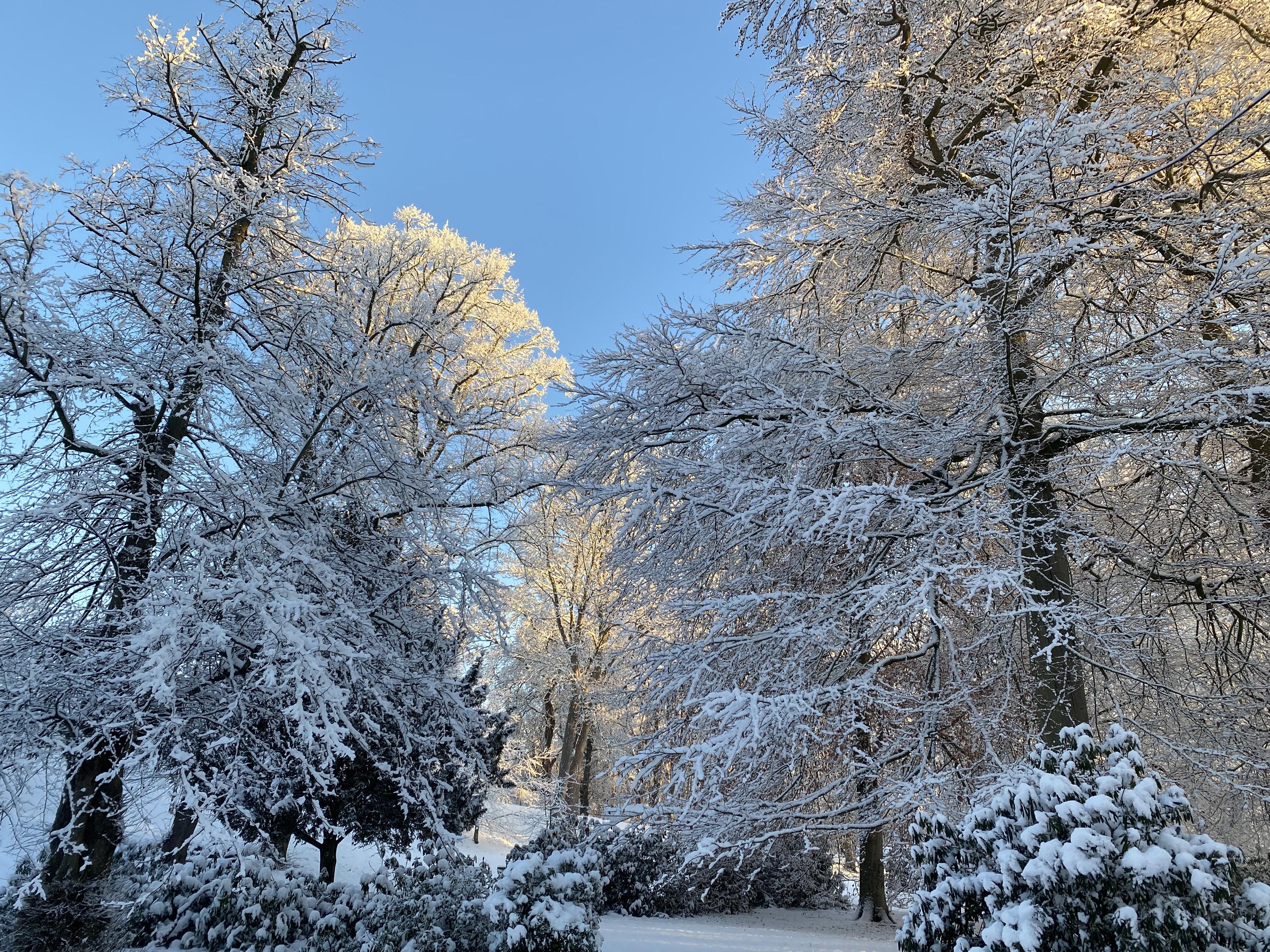 Vinter Sne 2 Vinter Sne 2